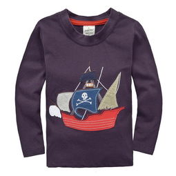 童t恤 工廠直銷童裝批發(fā) 歐美品牌兒童純棉長袖t恤精品 童裝t恤 ,兒童t恤, 外貿童裝圖片,童t恤 工廠直銷童裝批發(fā) 歐美品牌兒童純棉長袖t恤精品 童裝t恤 ,兒童t