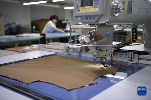 河北南宮 打造羊絨服裝服飾產業(yè)集群助力經濟發(fā)展