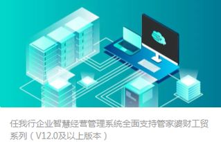 管家婆系列產(chǎn)品全面技術(shù)支持與下載服務(wù)